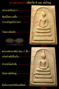 ตอใหญ4